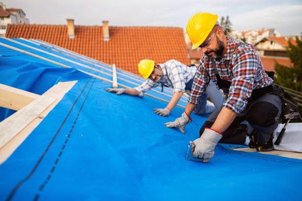 Best Storm Damage Roof Repair  in USA